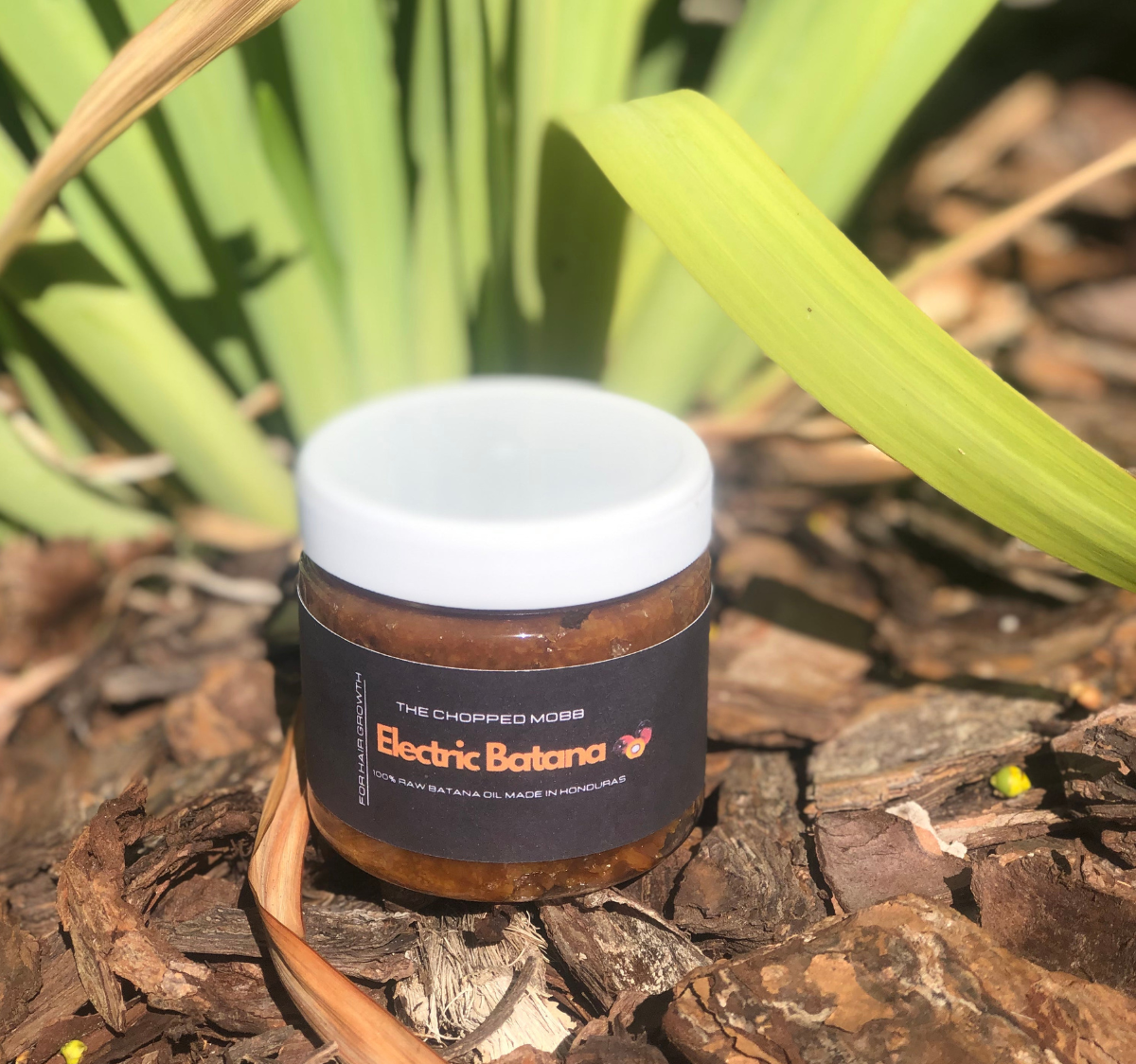 Batana Oil 2oz (Dr.Sebi Approved Hair growth Miracle Oil For Alopecia)